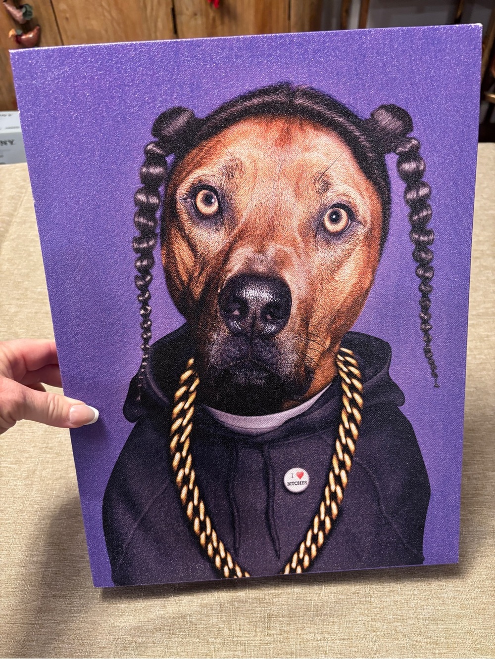 Pets Rock Celebrity Canvas Art “Snoop Dog” I ❤️ B*thches